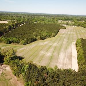 Photo #3 of SOLD property in Off Brickyard Rd , Emporia, VA 53.0 acres