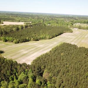 Photo #4 of SOLD property in Off Brickyard Rd , Emporia, VA 53.0 acres