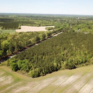 Photo #5 of SOLD property in Off Brickyard Rd , Emporia, VA 53.0 acres