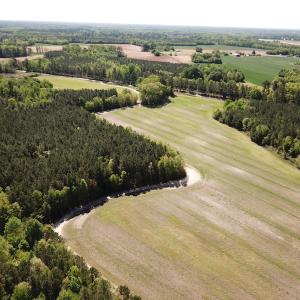 Photo #6 of SOLD property in Off Brickyard Rd , Emporia, VA 53.0 acres
