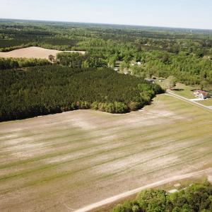 Photo #7 of SOLD property in Off Brickyard Rd , Emporia, VA 53.0 acres