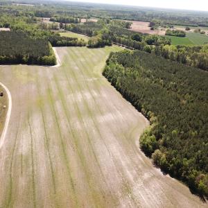 Photo #8 of SOLD property in Off Brickyard Rd , Emporia, VA 53.0 acres