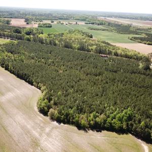 Photo #9 of SOLD property in Off Brickyard Rd , Emporia, VA 53.0 acres