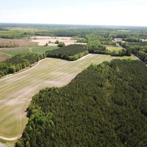 Photo #10 of SOLD property in Off Brickyard Rd , Emporia, VA 53.0 acres