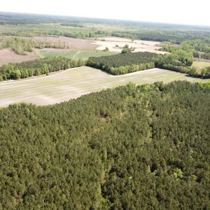 Photo #11 of SOLD property in Off Brickyard Rd , Emporia, VA 53.0 acres