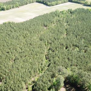 Photo #12 of SOLD property in Off Brickyard Rd , Emporia, VA 53.0 acres