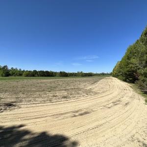 Photo #13 of SOLD property in Off Brickyard Rd , Emporia, VA 53.0 acres