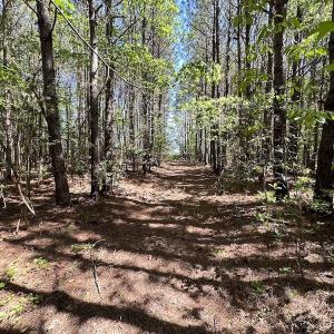Photo #17 of SOLD property in Off Brickyard Rd , Emporia, VA 53.0 acres