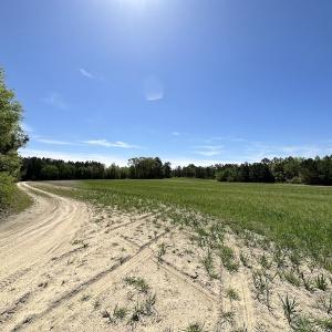 Photo #31 of SOLD property in Off Brickyard Rd , Emporia, VA 53.0 acres