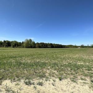 Photo #32 of SOLD property in Off Brickyard Rd , Emporia, VA 53.0 acres