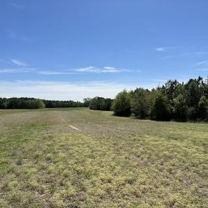 Photo #34 of SOLD property in Off Brickyard Rd , Emporia, VA 53.0 acres