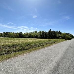 Photo #36 of SOLD property in Off Brickyard Rd , Emporia, VA 53.0 acres