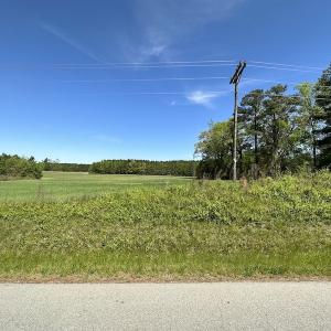 Photo #39 of SOLD property in Off Brickyard Rd , Emporia, VA 53.0 acres