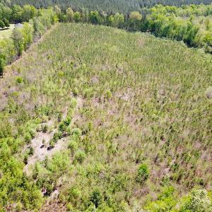 Photo #3 of SOLD property in Off Arbedour Rd , Jarratt, VA 19.0 acres