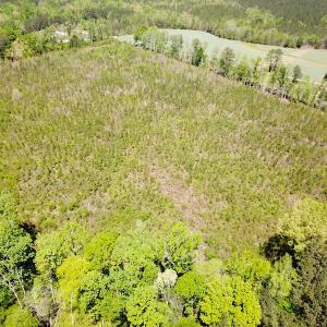Photo #7 of SOLD property in Off Arbedour Rd , Jarratt, VA 19.0 acres