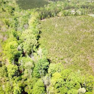 Photo #8 of SOLD property in Off Arbedour Rd , Jarratt, VA 19.0 acres