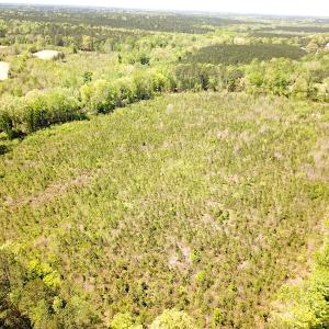 Photo #9 of SOLD property in Off Arbedour Rd , Jarratt, VA 19.0 acres