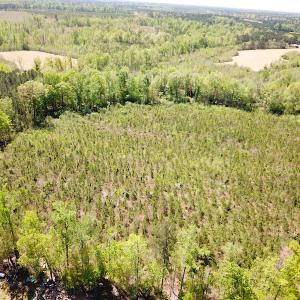 Photo #10 of SOLD property in Off Arbedour Rd , Jarratt, VA 19.0 acres