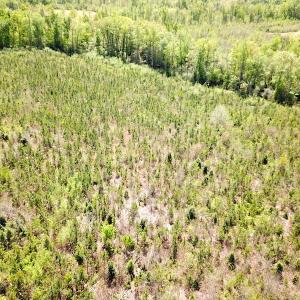 Photo #15 of SOLD property in Off Arbedour Rd , Jarratt, VA 19.0 acres