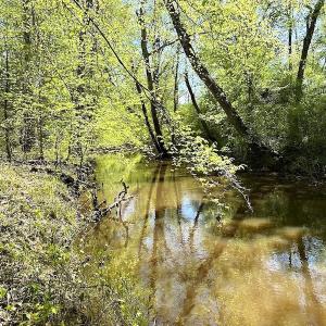 Photo #24 of SOLD property in Off Arbedour Rd , Jarratt, VA 19.0 acres