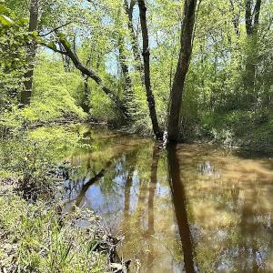 Photo #25 of SOLD property in Off Arbedour Rd , Jarratt, VA 19.0 acres