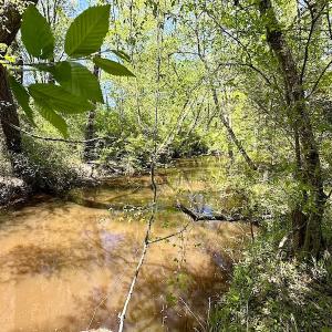 Photo #27 of SOLD property in Off Arbedour Rd , Jarratt, VA 19.0 acres