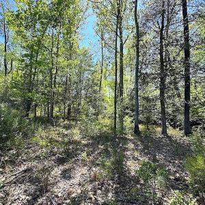 Photo #30 of SOLD property in Off Arbedour Rd , Jarratt, VA 19.0 acres