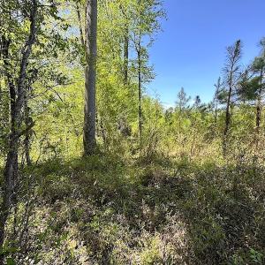 Photo #33 of SOLD property in Off Arbedour Rd , Jarratt, VA 19.0 acres