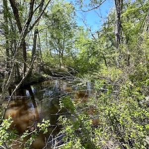 Photo #34 of SOLD property in Off Arbedour Rd , Jarratt, VA 19.0 acres