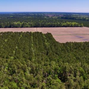 Photo #11 of SOLD property in Off Arant Farm Rd, Merritt, NC 79.5 acres
