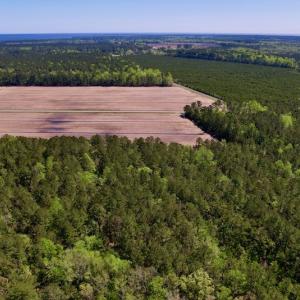 Photo #12 of SOLD property in Off Arant Farm Rd, Merritt, NC 79.5 acres