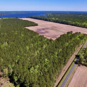 Photo #13 of SOLD property in Off Arant Farm Rd, Merritt, NC 79.5 acres