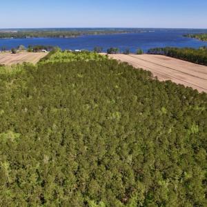 Photo #15 of SOLD property in Off Arant Farm Rd, Merritt, NC 79.5 acres