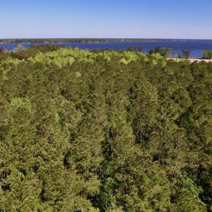 Photo #17 of SOLD property in Off Arant Farm Rd, Merritt, NC 79.5 acres