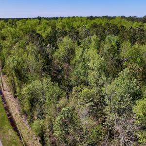Photo #18 of SOLD property in Off Arant Farm Rd, Merritt, NC 79.5 acres