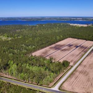 Photo #3 of SOLD property in Off Arant Farm Rd, Merritt, NC 79.5 acres