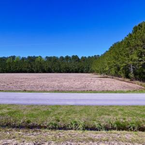 Photo #22 of SOLD property in Off Arant Farm Rd, Merritt, NC 79.5 acres