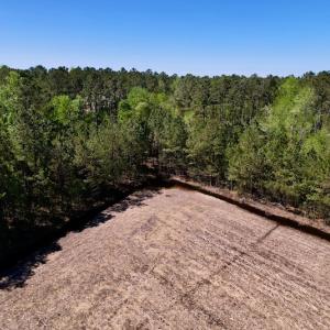 Photo #25 of SOLD property in Off Arant Farm Rd, Merritt, NC 79.5 acres