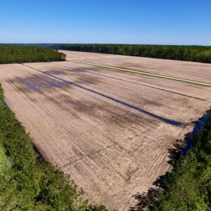 Photo #26 of SOLD property in Off Arant Farm Rd, Merritt, NC 79.5 acres
