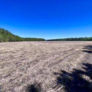 Photo #27 of SOLD property in Off Arant Farm Rd, Merritt, NC 79.5 acres