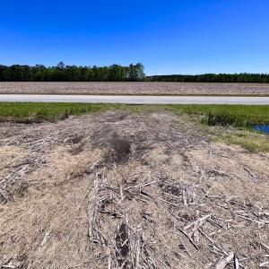Photo #28 of SOLD property in Off Arant Farm Rd, Merritt, NC 79.5 acres
