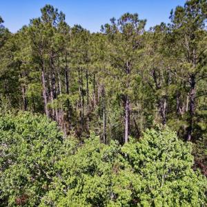 Photo #30 of SOLD property in Off Arant Farm Rd, Merritt, NC 79.5 acres