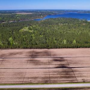 Photo #4 of SOLD property in Off Arant Farm Rd, Merritt, NC 79.5 acres
