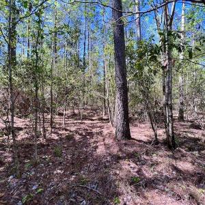 Photo #35 of SOLD property in Off Arant Farm Rd, Merritt, NC 79.5 acres