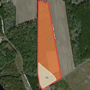 Photo #39 of SOLD property in Off Arant Farm Rd, Merritt, NC 79.5 acres