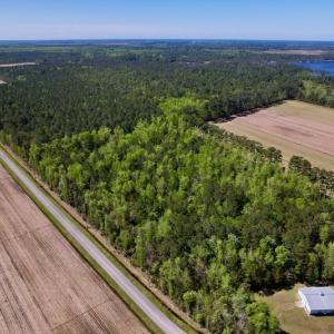 Photo #6 of SOLD property in Off Arant Farm Rd, Merritt, NC 79.5 acres