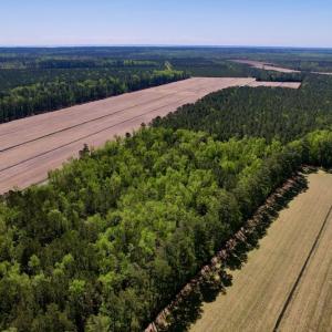 Photo #8 of SOLD property in Off Arant Farm Rd, Merritt, NC 79.5 acres