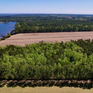 Photo #9 of SOLD property in Off Arant Farm Rd, Merritt, NC 79.5 acres