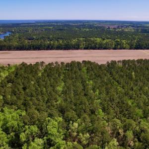 Photo #10 of SOLD property in Off Arant Farm Rd, Merritt, NC 79.5 acres