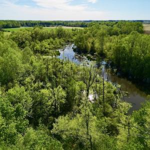 Photo #13 of 664 Peak Branch Rd, Snow Hill, NC 54.6 acres
